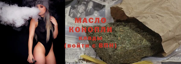 крисы Няндома
