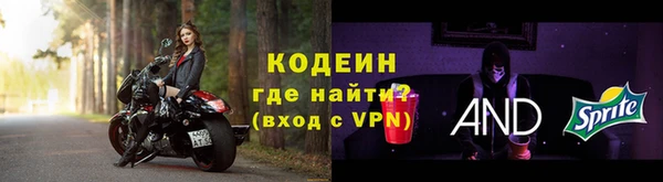 дурь Осташков