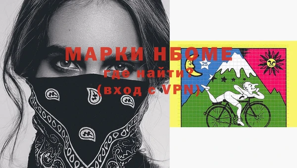 ГАЛЛЮЦИНОГЕННЫЕ ГРИБЫ Осинники