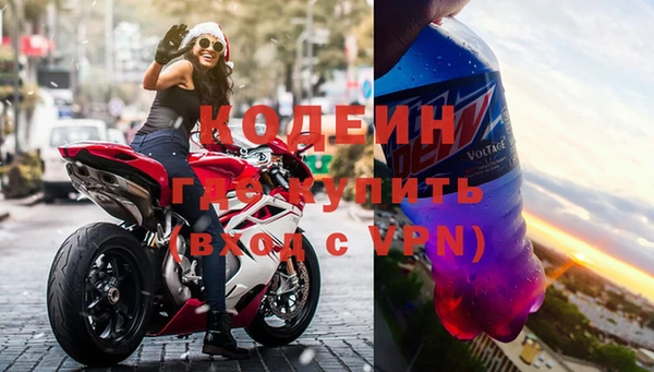ГАЛЛЮЦИНОГЕННЫЕ ГРИБЫ Осинники