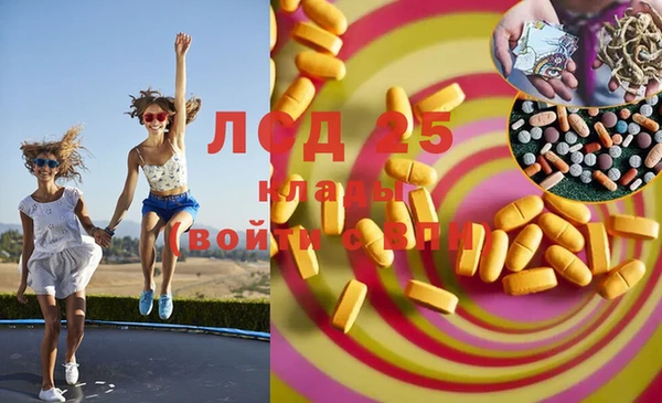 ГАЛЛЮЦИНОГЕННЫЕ ГРИБЫ Осинники