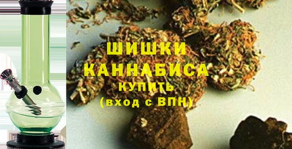 крисы Няндома