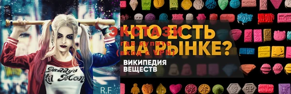 ГАЛЛЮЦИНОГЕННЫЕ ГРИБЫ Осинники