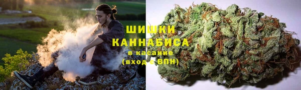 сатива Нязепетровск