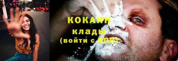 ГАЛЛЮЦИНОГЕННЫЕ ГРИБЫ Осинники