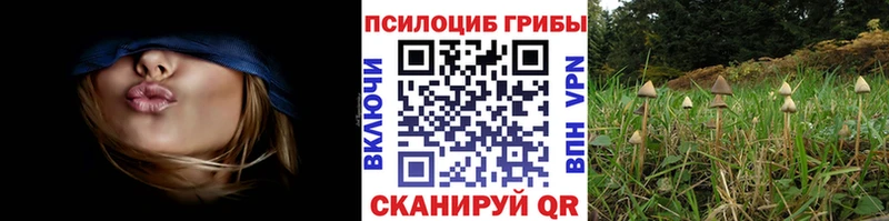 Галлюциногенные грибы Cubensis  Лабытнанги 