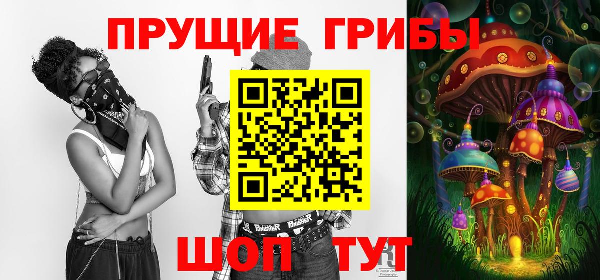 Псилоцибиновые грибы Psilocybine cubensis Лабытнанги