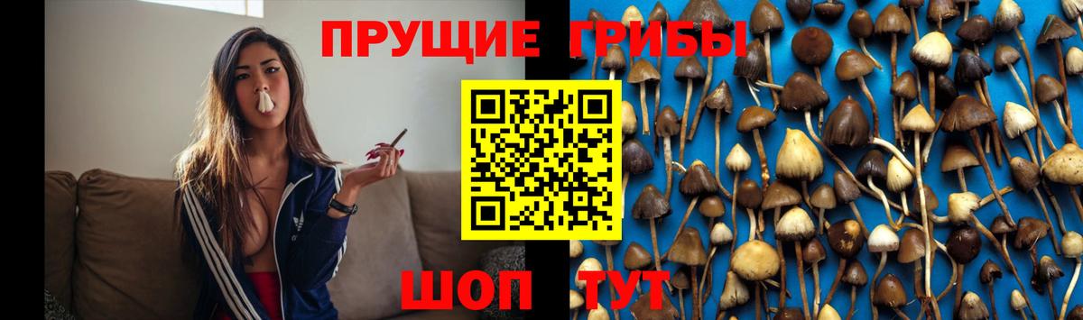 Лабытнанги  Галлюциногенные грибы MAGIC MUSHROOMS  Галлюциногенные грибы мицелий  Вход с VPN 